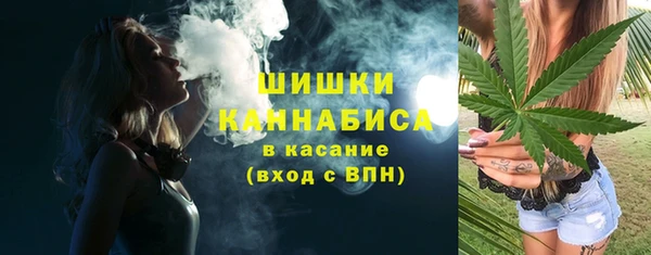 гашик Богородск