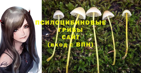mix Пролетарск