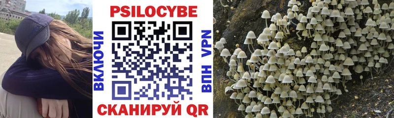 блэк спрут ссылки  Барыш  Псилоцибиновые грибы Cubensis  купить наркотик 